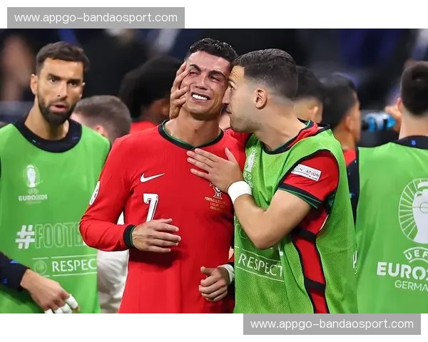 欧洲杯新闻深度解读与赛场故事