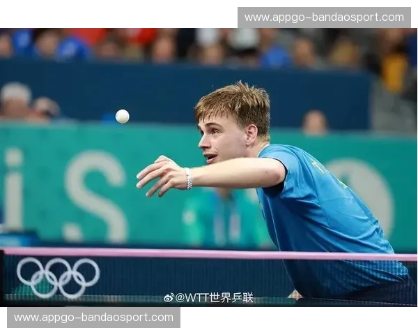 伤病WRC：重塑运动人生的康复智选